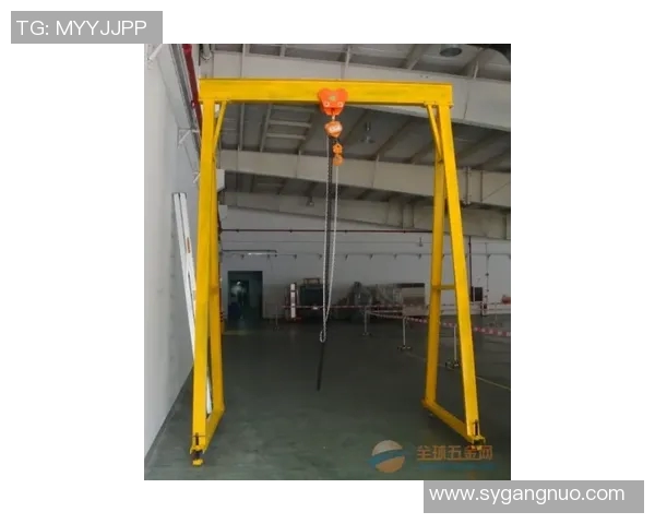 龙门架深蹲变式打造立体臀型全解析
